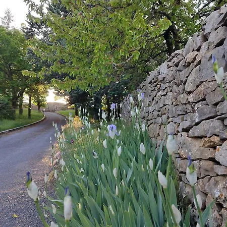 Hébergement de vacances Maisonnette De Vignes Avec Vue Imprenable