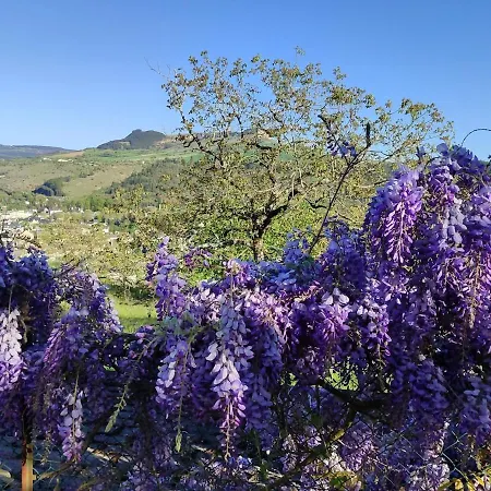 Maisonnette De Vignes Avec Vue Imprenable بيت للعطل *